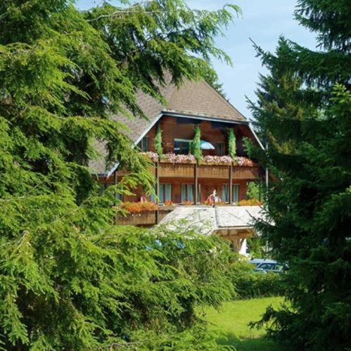 Hotel Garni Seebachstueble Titisee-Neustadt Bagian luar foto